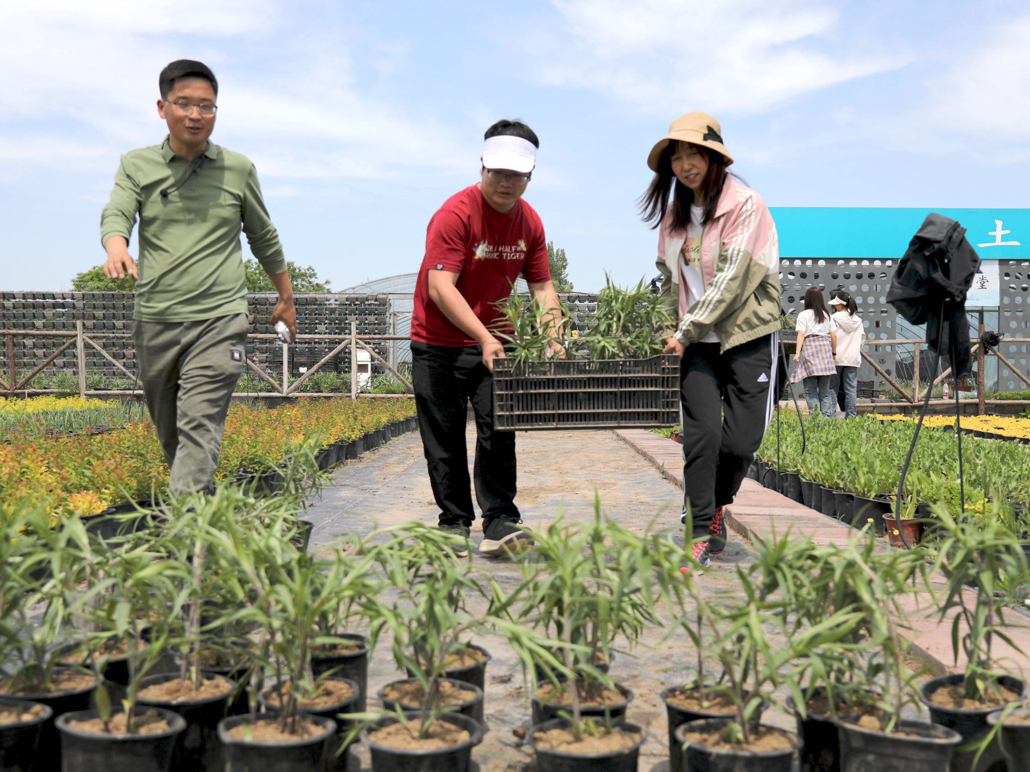 香港六和合资料