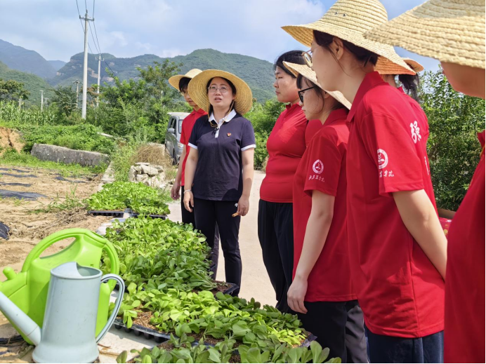 香港六和合资料