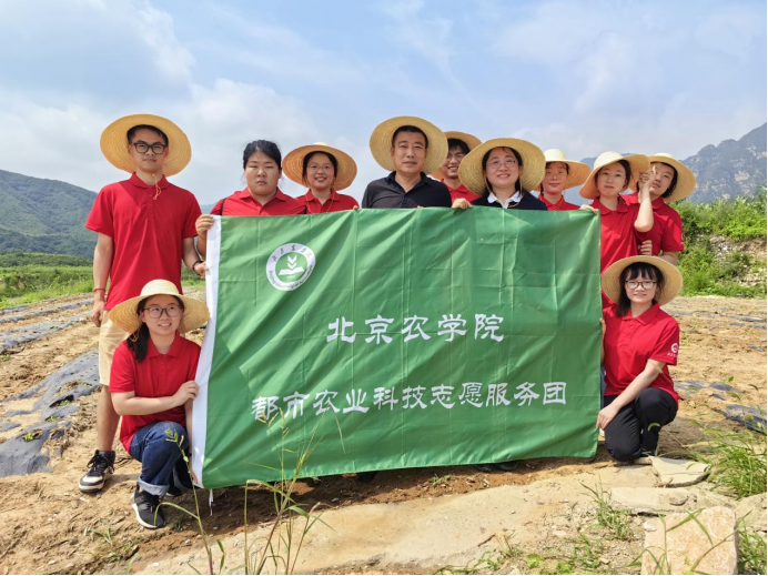 香港六和合资料