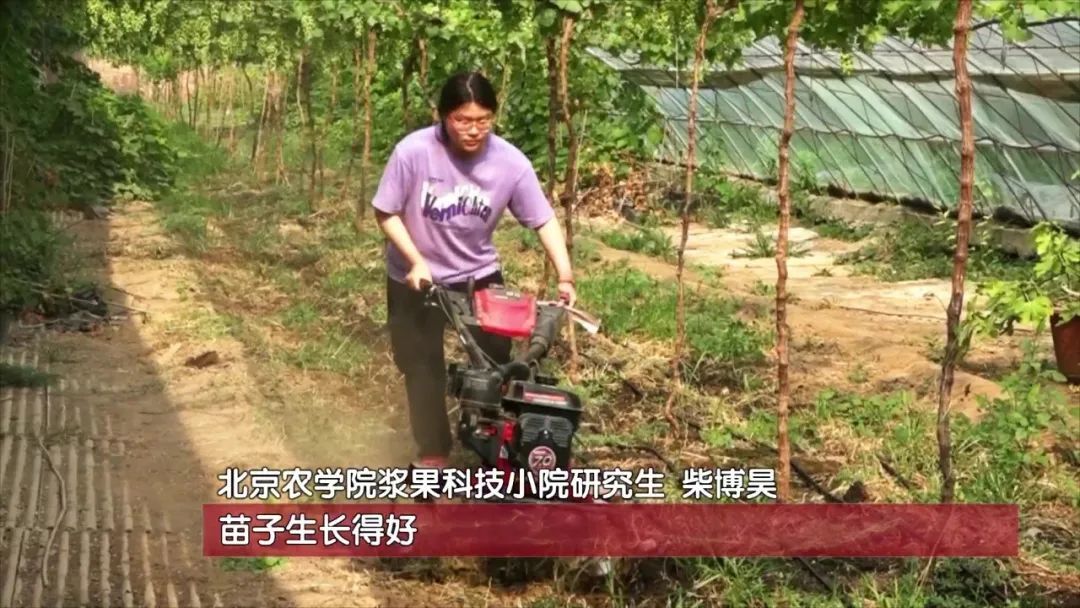 香港六和合资料