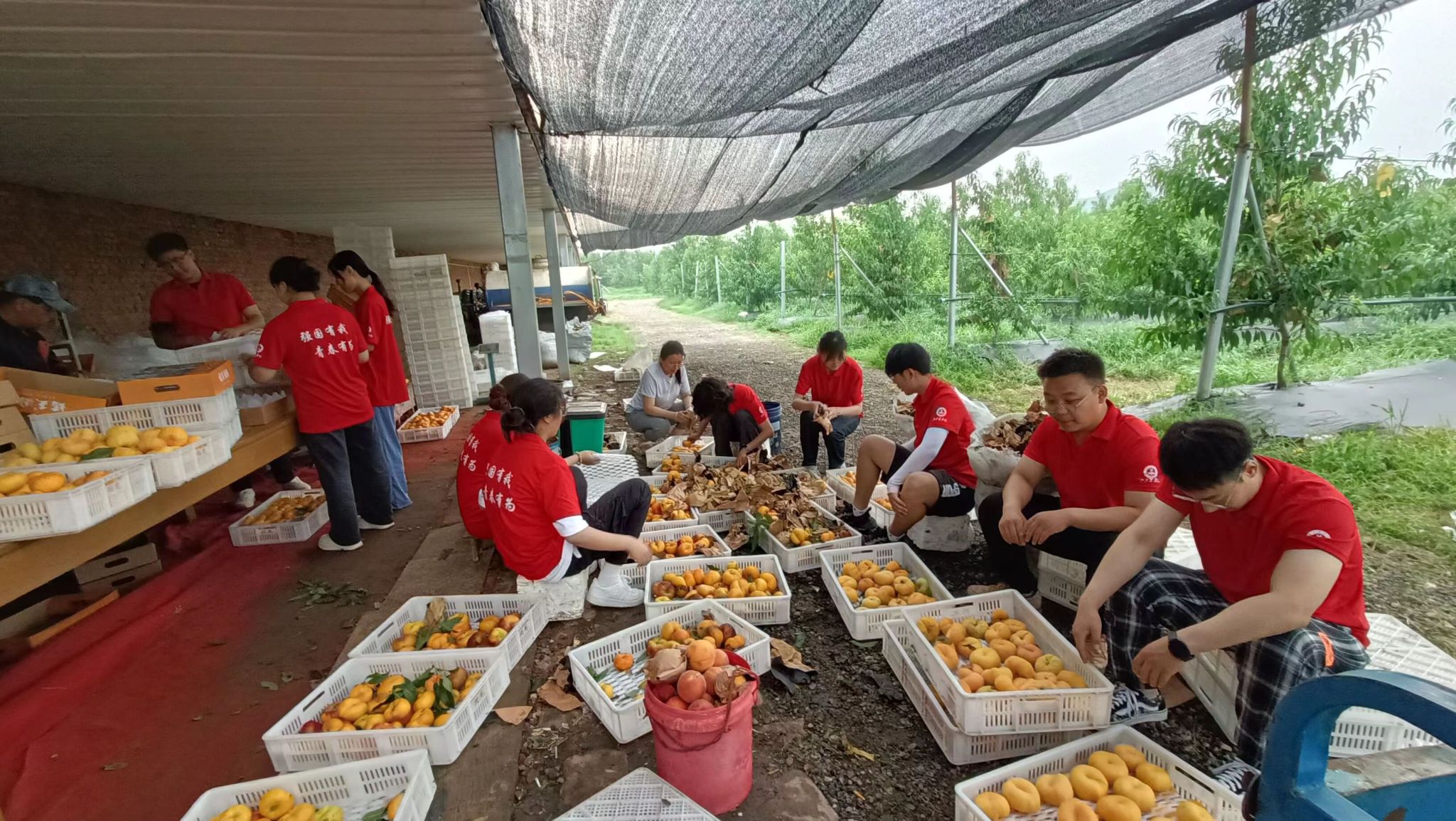 香港六和合资料