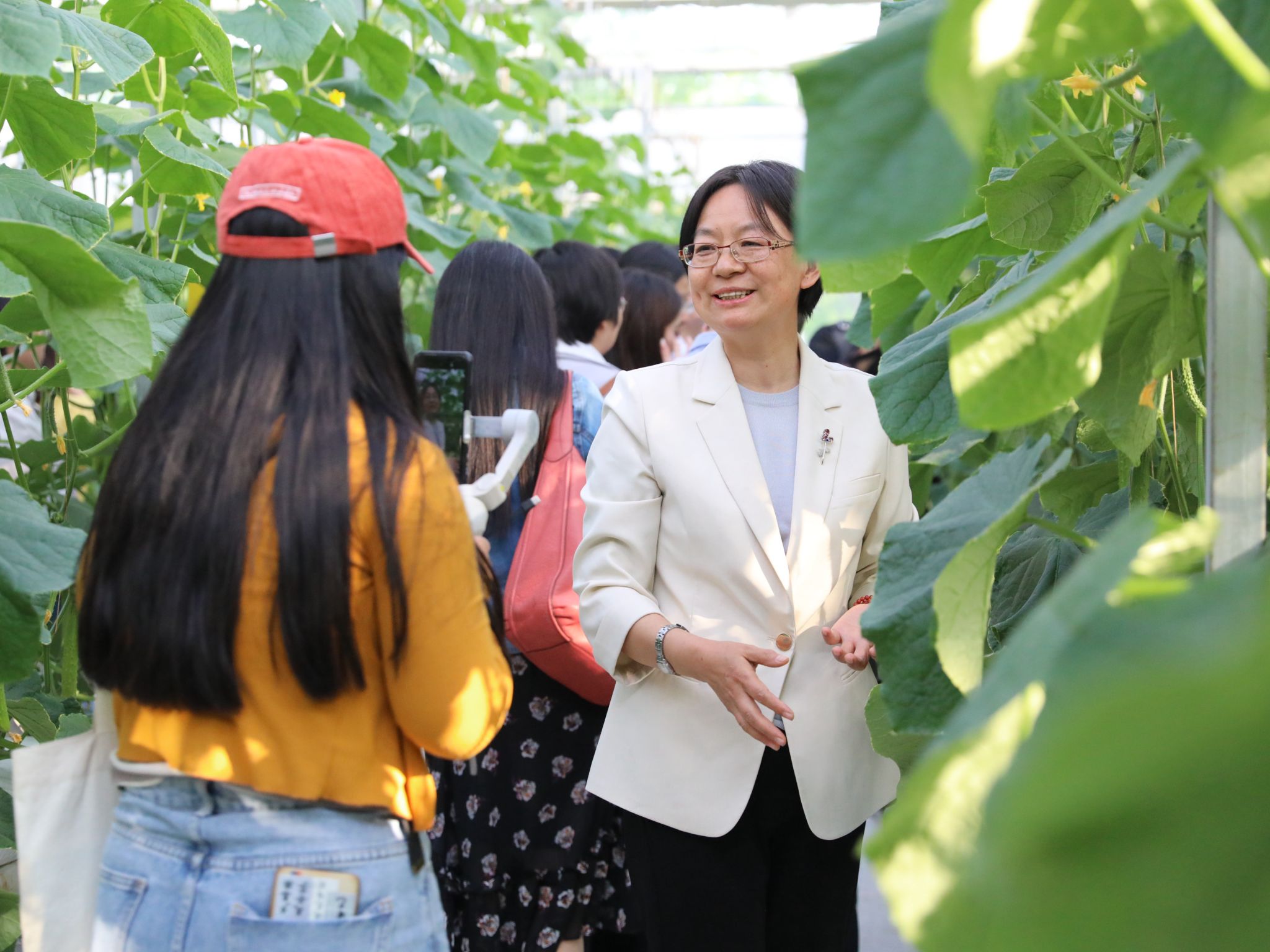 香港六和合资料